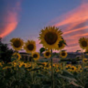 Meet your Posher, Breana